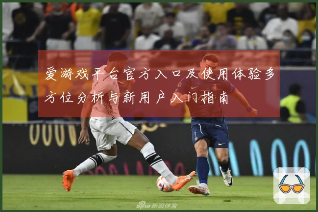 爱游戏平台官方入口及使用体验多方位分析与新用户入门指南